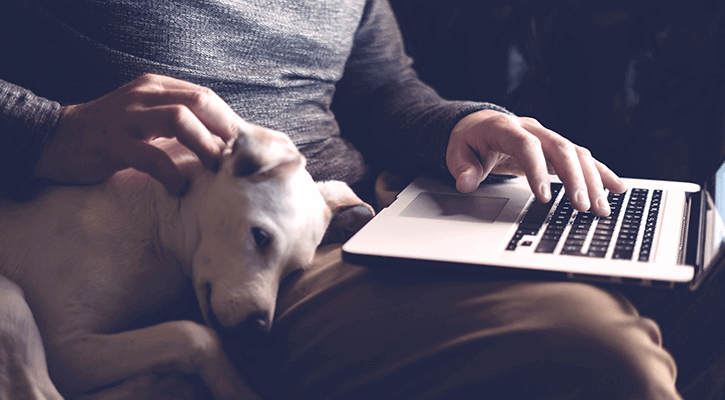 Forms Digital Pet Radiology in Dalton, GA