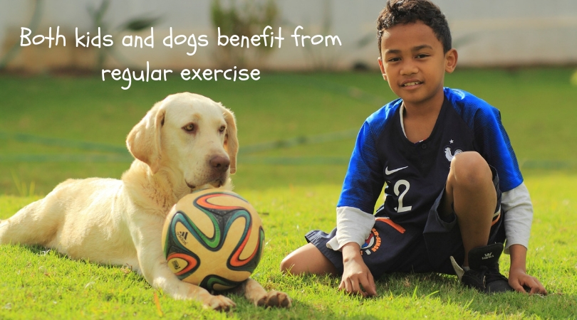 Dog and boy with soccer ball