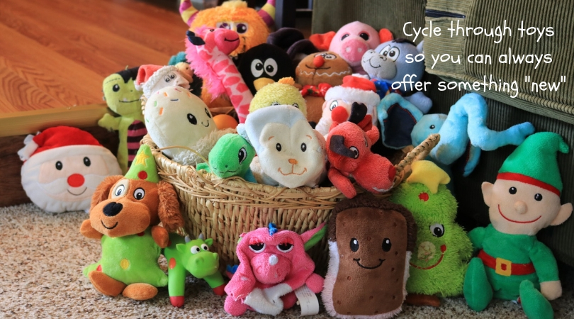 A large selection of dog toys