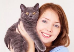 Feline Preventative Care in Dalton, GA